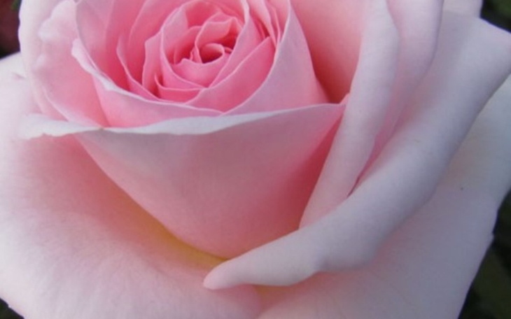 Zbiórka Rak odbiera mi nadzieję - zdjęcie główne