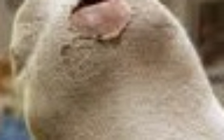 Zbiórka Dziura w skarpecie - zdjęcie główne