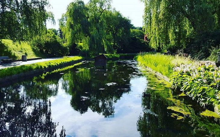 Zbiórka Wymarzony aparat :) - zdjęcie główne