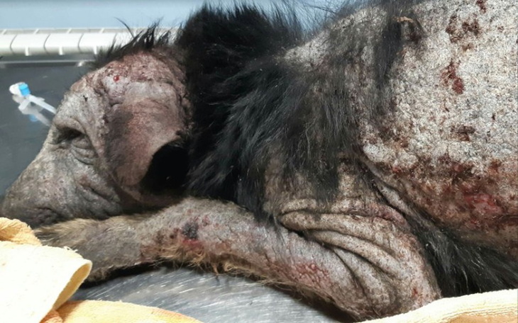 Zbiórka Daj mi szanse na życie - zdjęcie główne