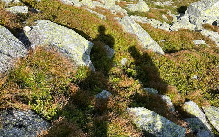 Zbiórka Pomoc uchodźcom na Podhalu - zdjęcie główne