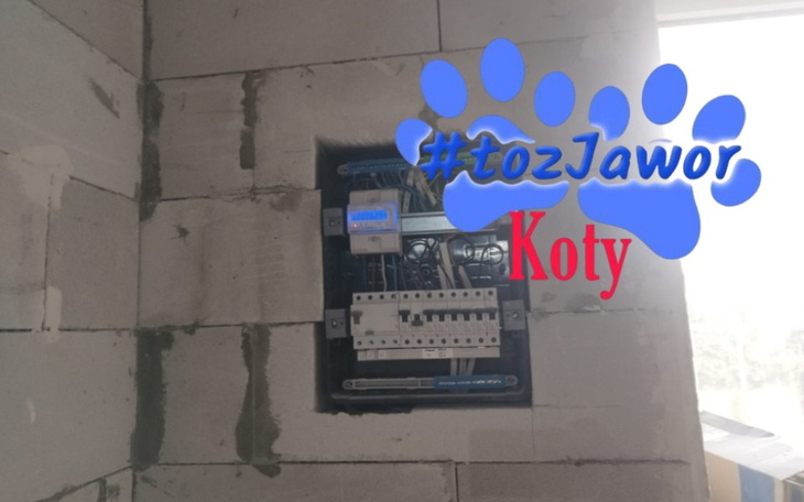 Zbiórka Prąd w kociarni TOZ - marzec - zdjęcie główne