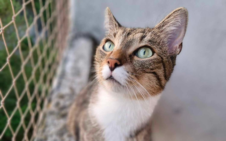 Zbiórka Na operacje ratującą życie - zdjęcie główne