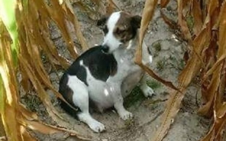 Zbiórka Potrzebuje Twoje pomocy! - zdjęcie główne