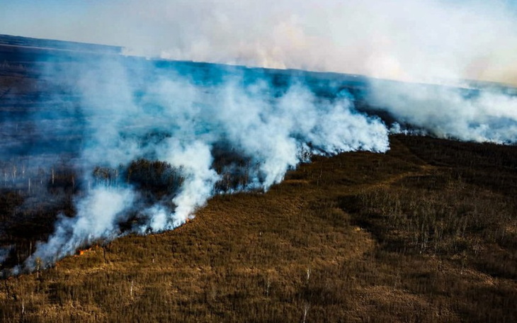 Zbiórka Na odnowienie biebrzy - zdjęcie główne