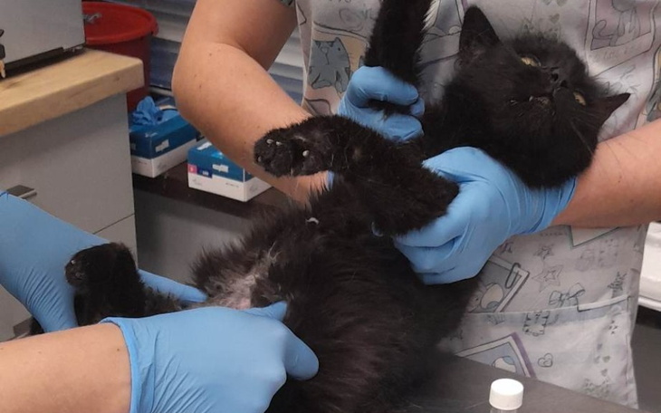 Zbiórka Gratka waży 1,90 kilograma - zdjęcie główne