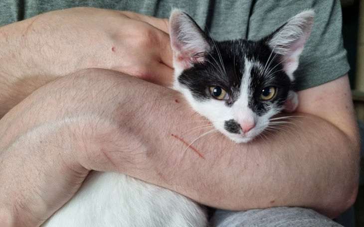 Zbiórka Basia prosi o pomoc. - zdjęcie główne