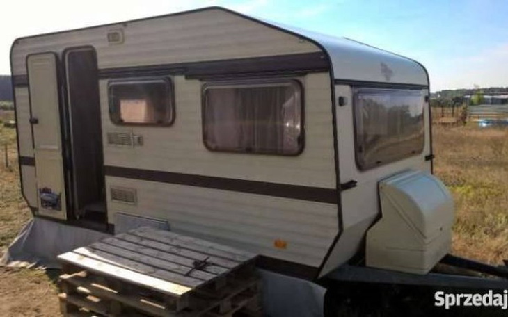 Zbiórka Kemping do pilnowania koni - zdjęcie główne