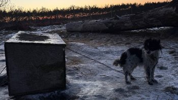 Zbiórka zatankowacpomoc - miniaturka zdjęcia