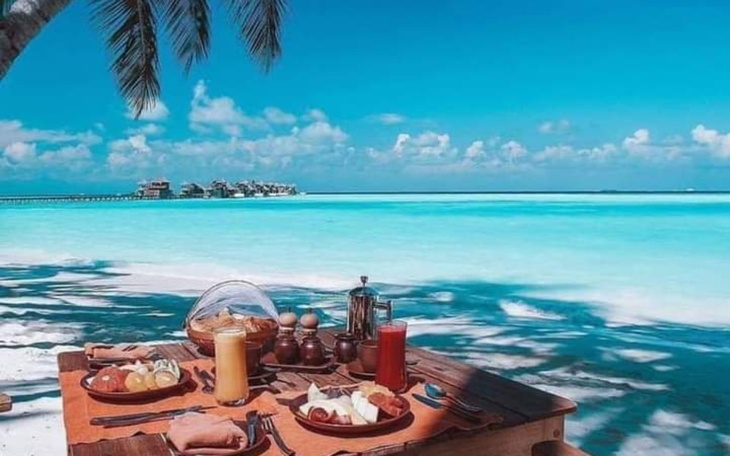 Zbiórka Podróż na Tropiki - zdjęcie główne