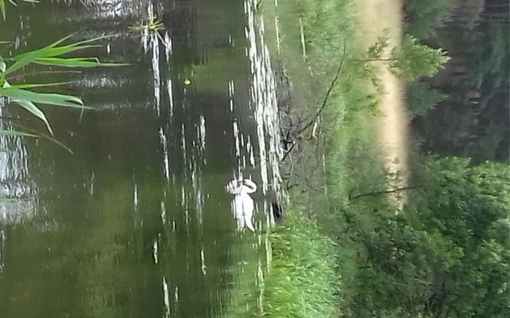 Zbiórka Zobowiązania finansowe - zdjęcie główne