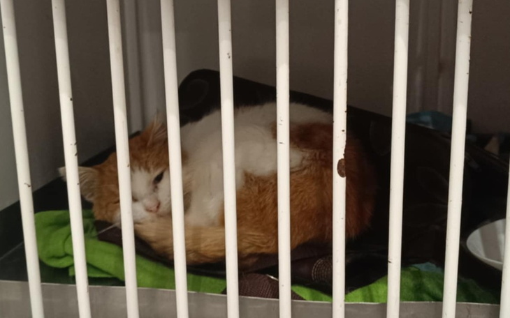 Zbiórka Ryszard potrzebuje pomocy - zdjęcie główne