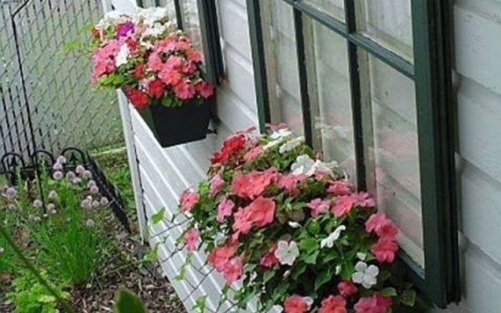 Zbiórka Rehabilitacjg - zdjęcie główne