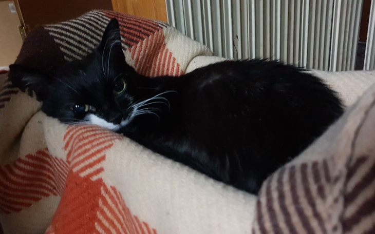 Zbiórka Zabierz mnie śmierci - zdjęcie główne