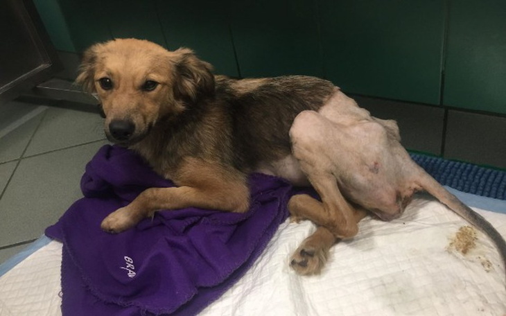 Zbiórka Konała w ciszy po wypadku... - zdjęcie główne