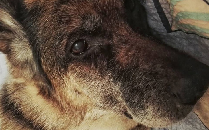 Zbiórka Walka z udarem - zdjęcie główne