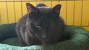 Zbiórka Pomoc dla Karolka - miniaturka zdjęcia