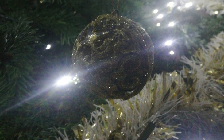 Zbiórka Zasłużyła na lepszy los - zdjęcie główne