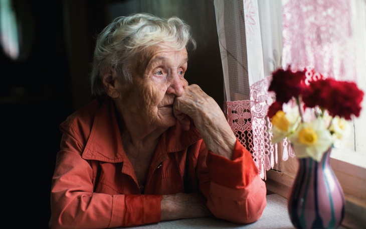 Zbiórka na pomoc dla zwierząt w schroniskach.