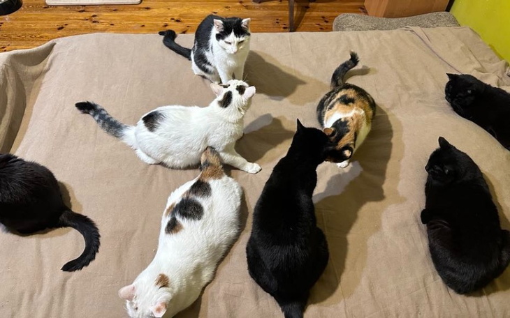 Zbiórka Na przetrwanie maja 2024 - zdjęcie główne