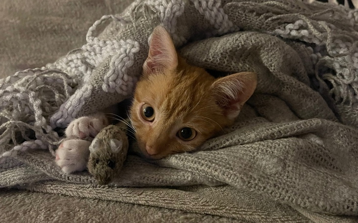 Zbiórka Jacuś chce żyć dłużej - zdjęcie główne