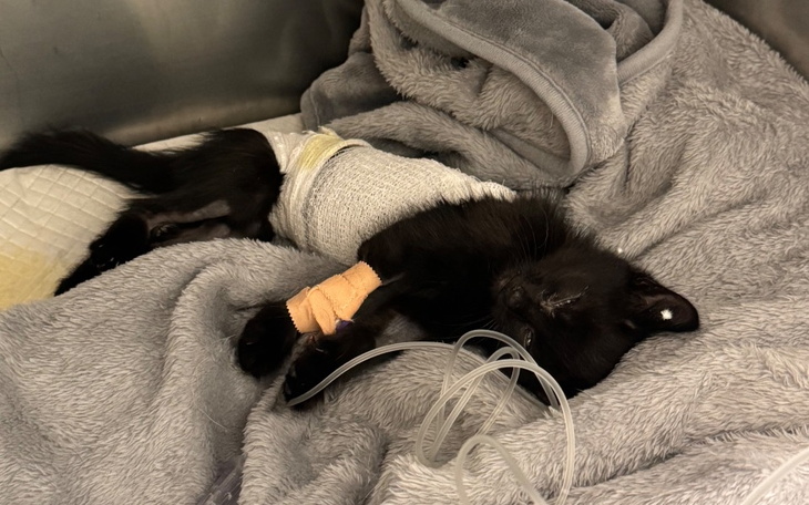 Zbiórka Pomóż Kacperkowi wyzdrowieć - zdjęcie główne