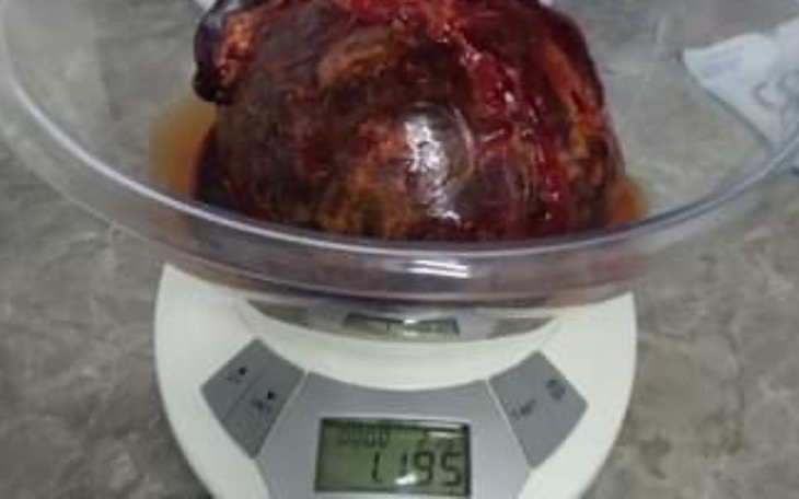 Zbiórka Shih Tzu z wielkim guzem - zdjęcie główne