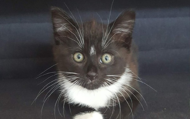 Zbiórka Testy dla Lili - zdjęcie główne