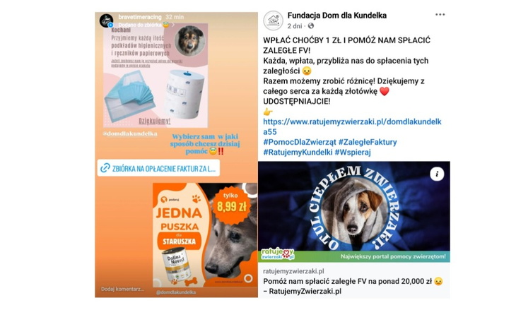 Zbiórka Zbiórka Dom dla kundelka - zdjęcie główne
