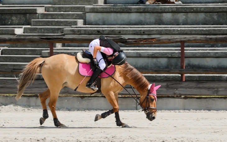 Zbiórka Saddle fitter dla kucyka - zdjęcie główne