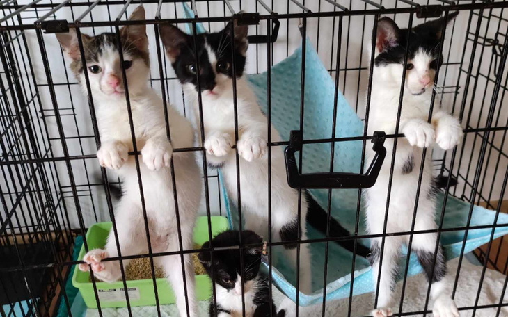 Zbiórka Lato w Malinowym - zdjęcie główne