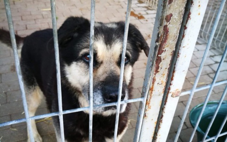 Zbiórka EDI - nie czas umierać - zdjęcie główne