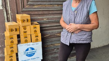 Zbiórka Działkowe koty - miniaturka zdjęcia