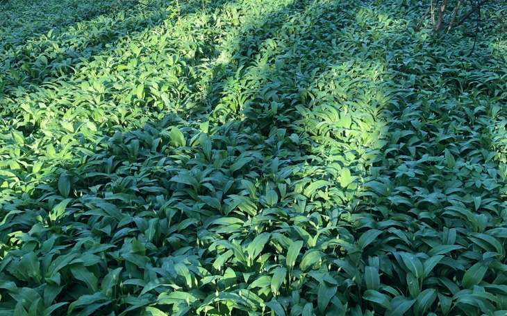 Zbiórka Na normalne zycie bez długu - zdjęcie główne