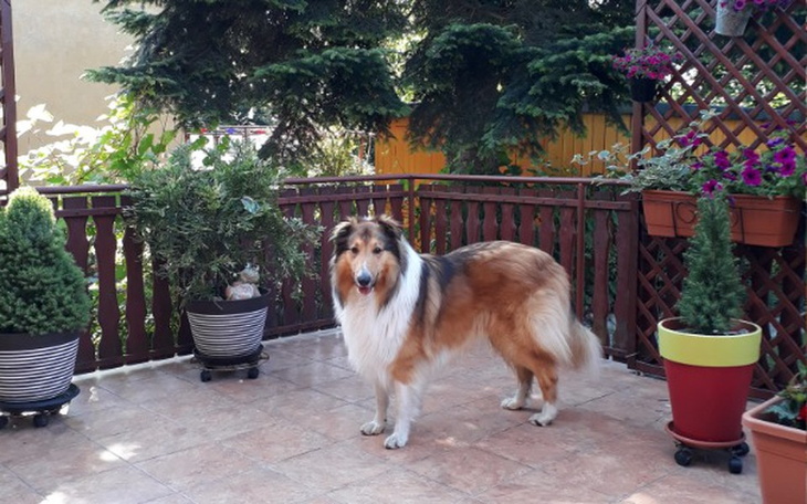 Zbiórka arona   aron jest   do rodziny - zdjęcie główne