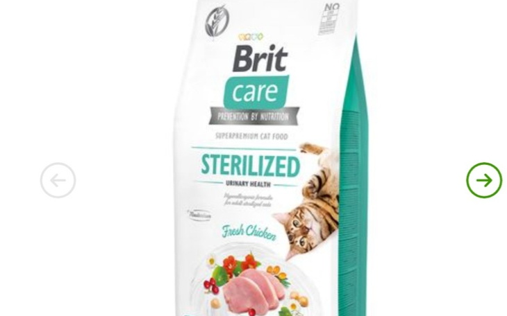 Zbiórka Dla kota na dzień kota - zdjęcie główne