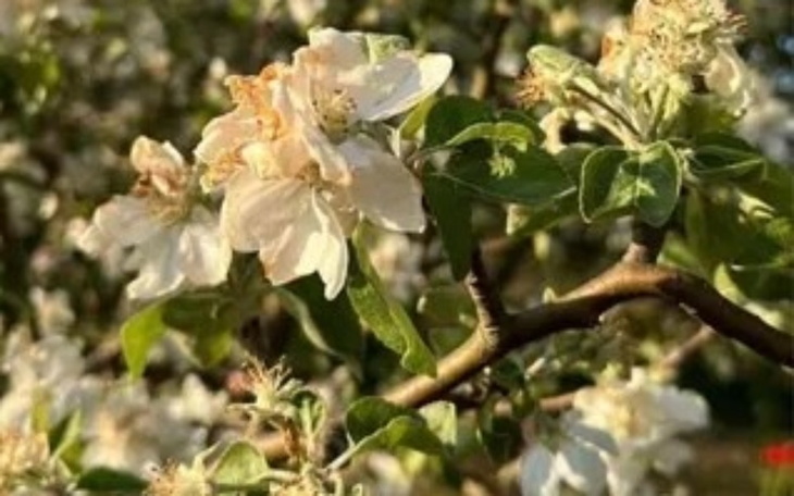 Zbiórka Od nowa poczuć czym jest życie - zdjęcie główne