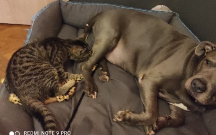 Zbiórka Pomóżż mi chodzić - zdjęcie główne