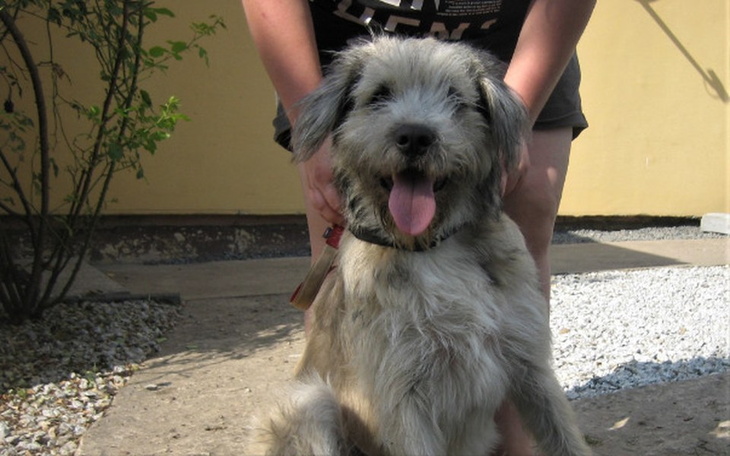 Zbiórka Armageddon - zdjęcie główne