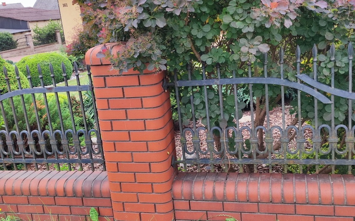 Zbiórka Zbieram na wymarzony mały domek - zdjęcie główne