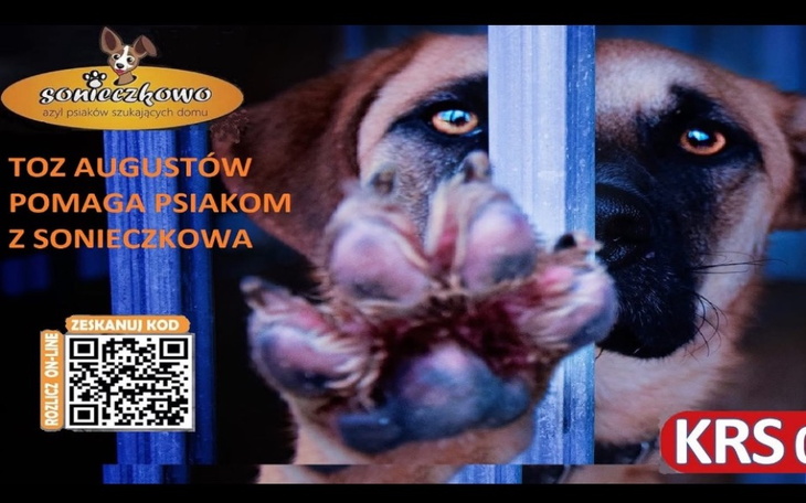 Plakat promujący pomoc dla psów w schronisku, z psem w klatce.