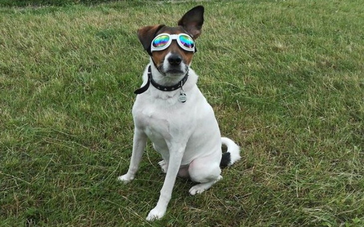 Zbiórka Niewidomy Lumen - Życie bez bólu - zdjęcie główne