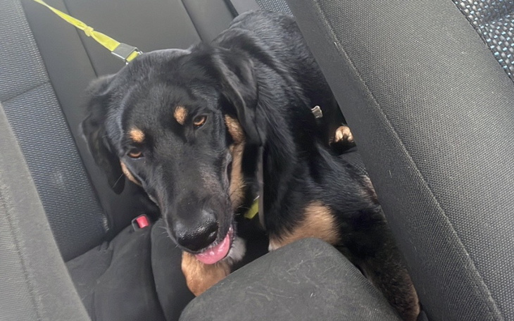 Zbiórka Zbieram na swój hotel - zdjęcie główne