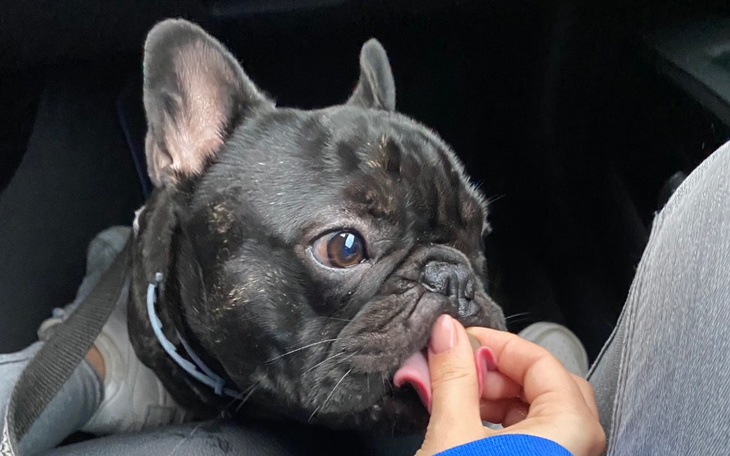 Zbiórka Komfort oddychania Edzia - zdjęcie główne