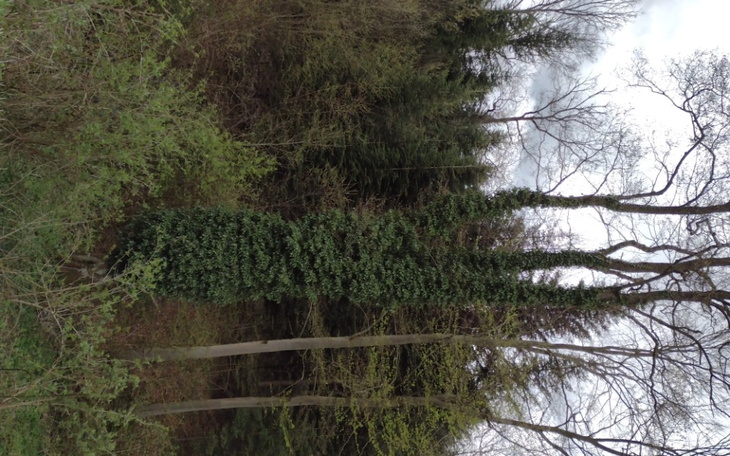 Zbiórka Kolegą potrzebuje Xboxa żeby gra - zdjęcie główne