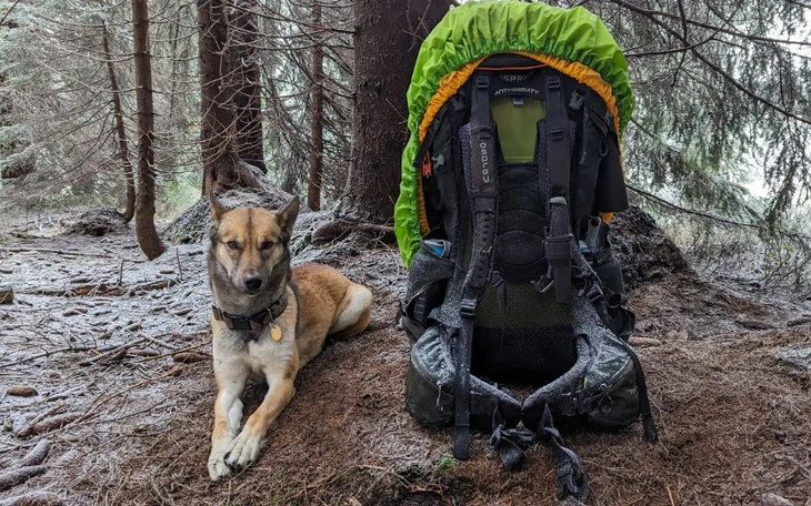 Zbiórka Boruta - zdjęcie główne