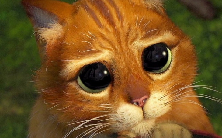 Zbiórka -Zagęszczenie włosów- - zdjęcie główne