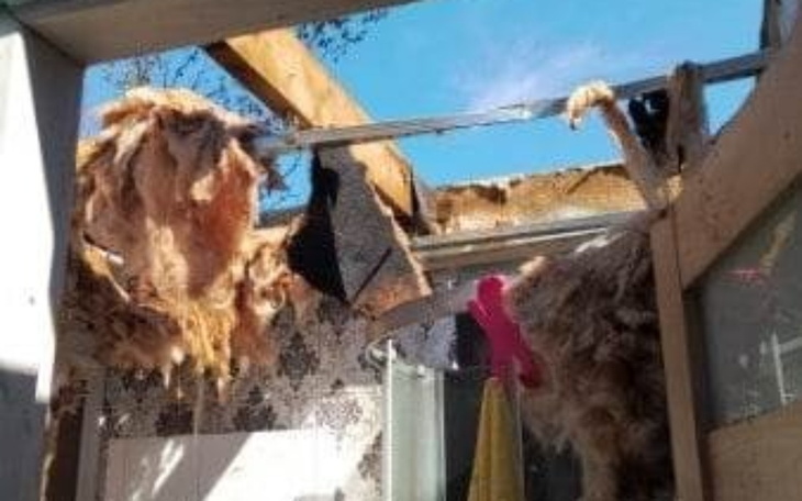 Zbiórka Remont domu po pożarze Toruń - zdjęcie główne