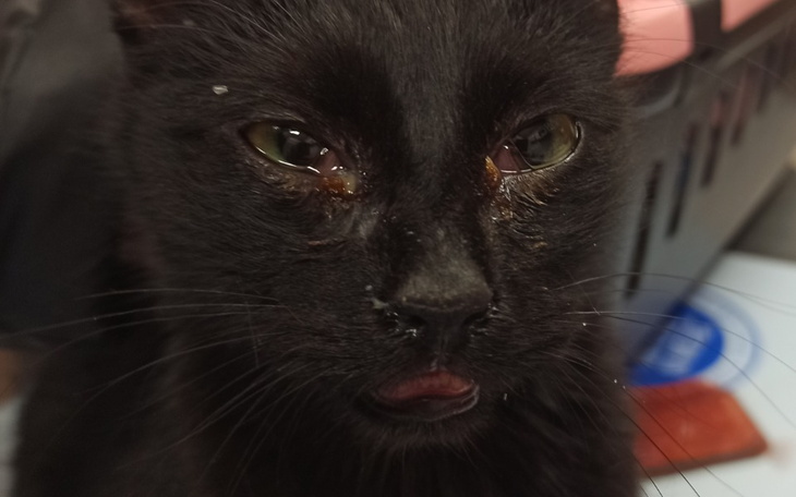 Zbiórka Dla człowieka byłem nikim... - zdjęcie główne