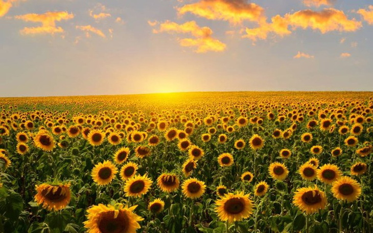 Zbiórka Aby zacząć żyć - zdjęcie główne